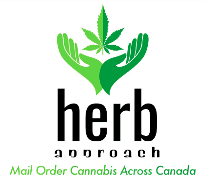 herb approach coupon code
