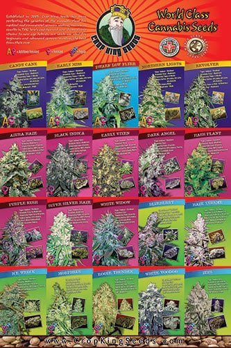 Crop King Seeds Coupon Codes Discount Coupon Promo Certificate Store6