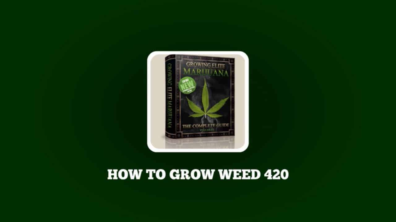 How To Grow Weed 420 - Coupon Codes - Learn To Grow Marijuana - Seeds & Lights