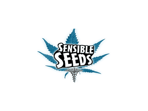 sensible seeds CBD Coupon Code discounts promos save on cannabis online logo Redesign