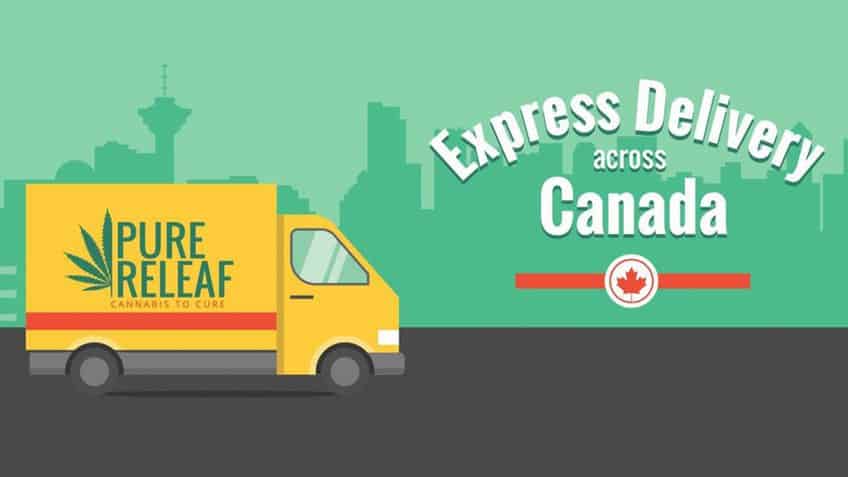 Canada Mail Order Cannabis - Pure Releaf Coupon Code - Save On Cannabis - Marijuana Online