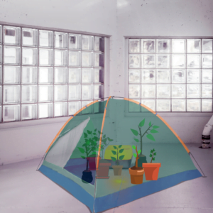 Get Growing! How to Grow Cannabis - Image - cannabis tent growing