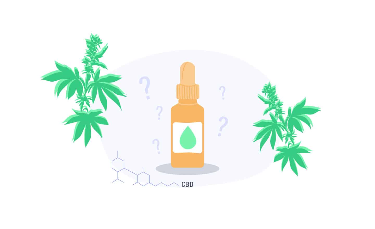 8 Most Asked CBD Questions
