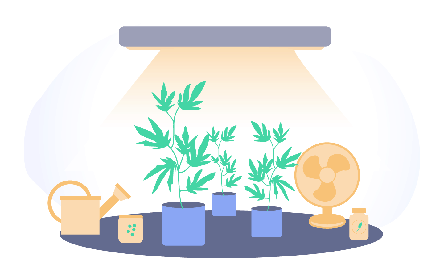 Get Growing Cannabis - Save On Cannabis Blog