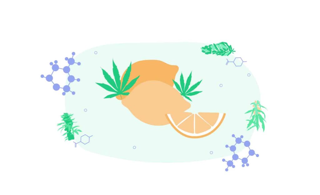“Meet The Terpenes”: Limonene, The Zesty, Cancer-Fighting Terpene. 1 Meet Cannabis Terpene Limonene