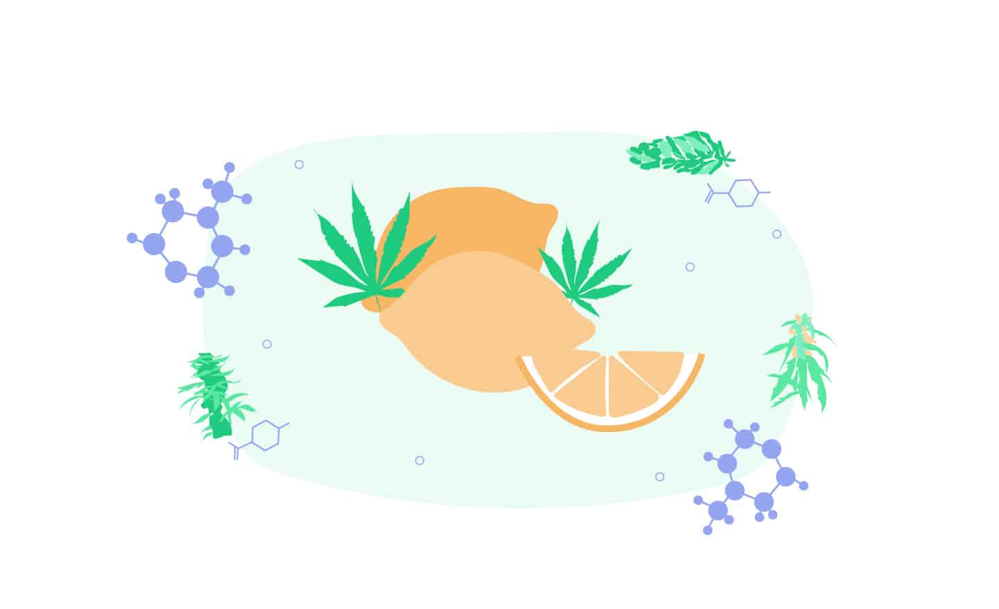 Meet Cannabis Terpene Limonene