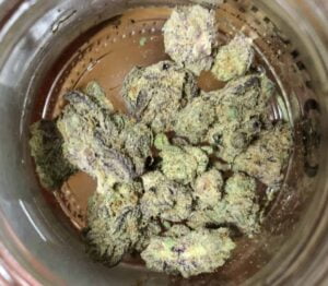 A close-up of the cannabis strain Blackberry Cream.