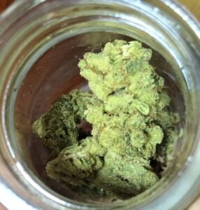 A close-up of the cannabis strain Gorilla Glue.