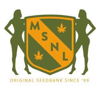 MSNL Coupon Discount Coupon Promo Certificate Logo