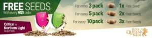 Seed City Coupon Discount Coupon Promo SC Shop Royal Queen Seed Offer