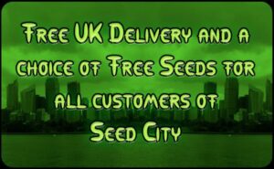 Seed City Coupon Discount Coupon Promo SC Shop Special Offer