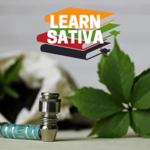 A cannabis leaf lays next to a metal pipe with the words "Learn Sativa" appearing on a colorful graphic of textbooks.