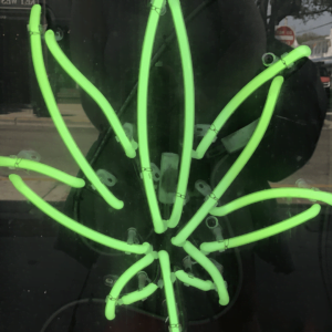 A neon green light glows in the window of a cannabis college.