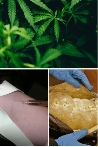A collage of images of Schedule I drugs featuring a heroin injection, ectasy pills, and the cannabis plant.