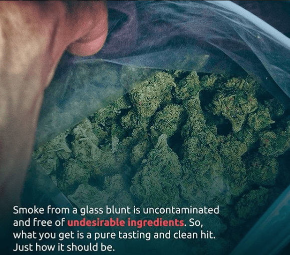 Glass Blunt Store Coupon Code - Online Discount - Save On Cannabis