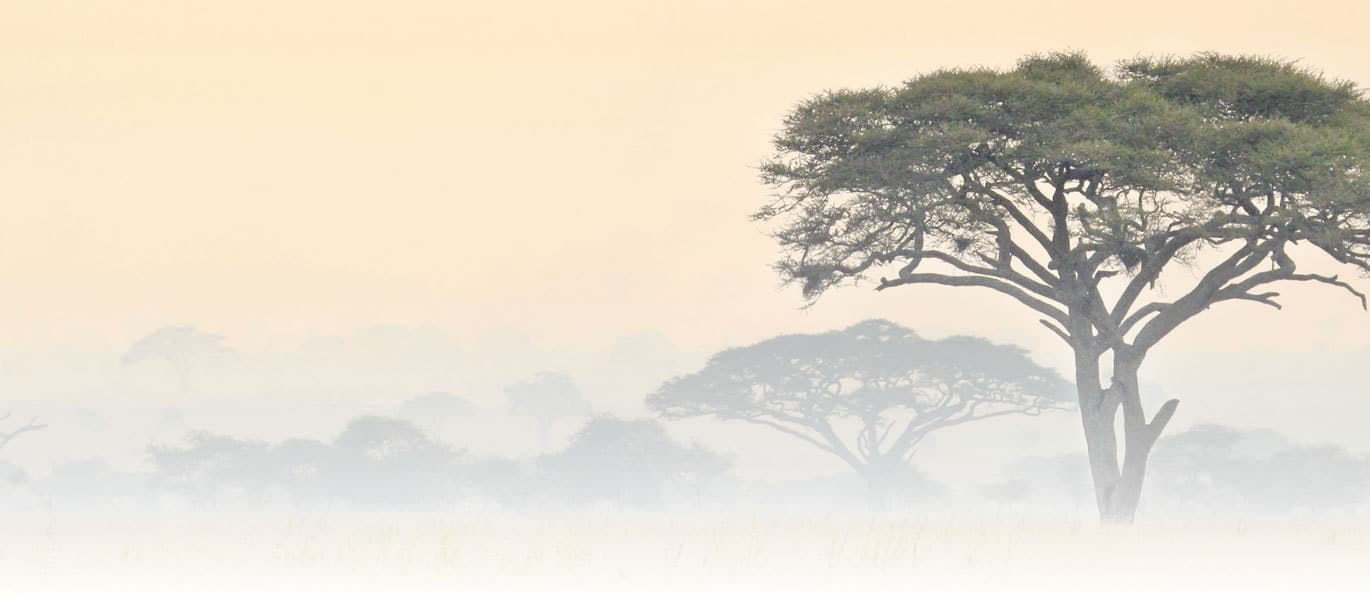 Get Hakuna Supply coupons for cannabis stash boxes and accessories!