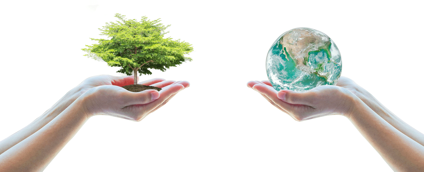 Get Hakuna Supply coupons for cannabis stash boxes and accessories!