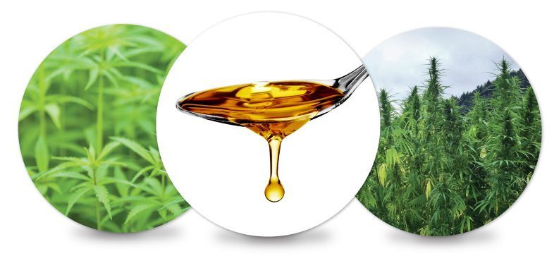 HempMeds Coupon Code - Online Discount - Save On Cannabis