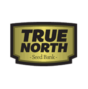True North Seed Bank Coupon Code - Online Discount - Save On Cannabis