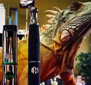 CannaVape Coupon Code - Online Discount - Save On Cannabis