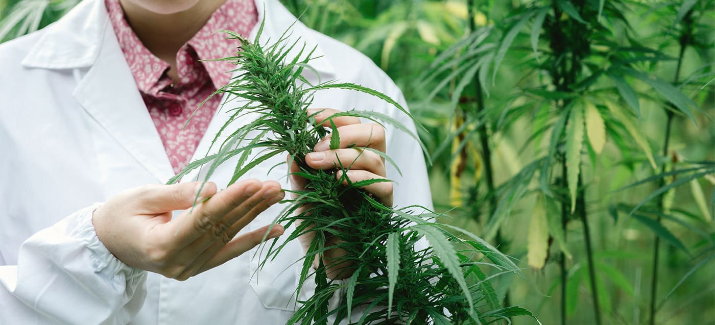 MediPen Coupon Code - Online Discount - Save On Cannabis