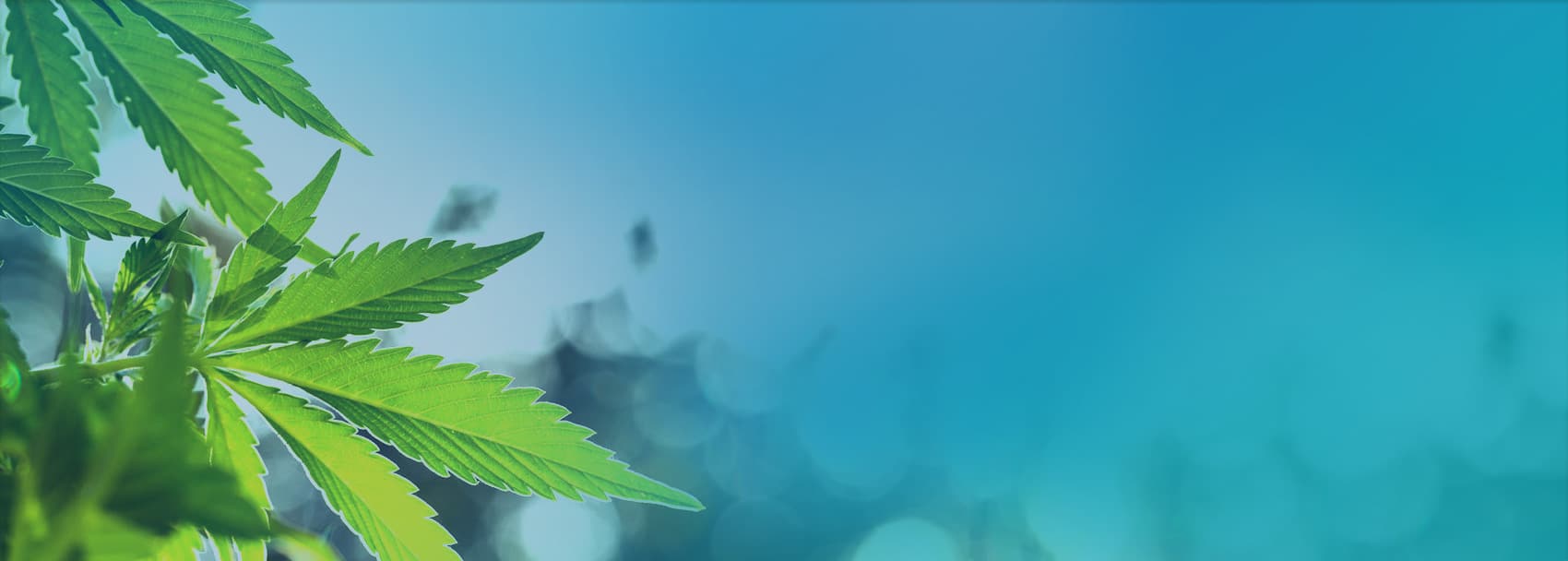 MediPen Coupon Code - Online Discount - Save On Cannabis