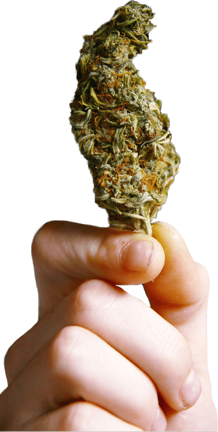 Green Society Coupon Code - Online Discount - Save On Cannabis