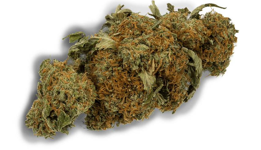 Green Society Coupon Code - Online Discount - Save On Cannabis