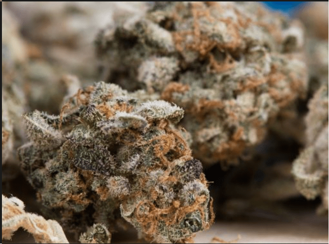 Green Society Coupon Code - Online Discount - Save On Cannabis