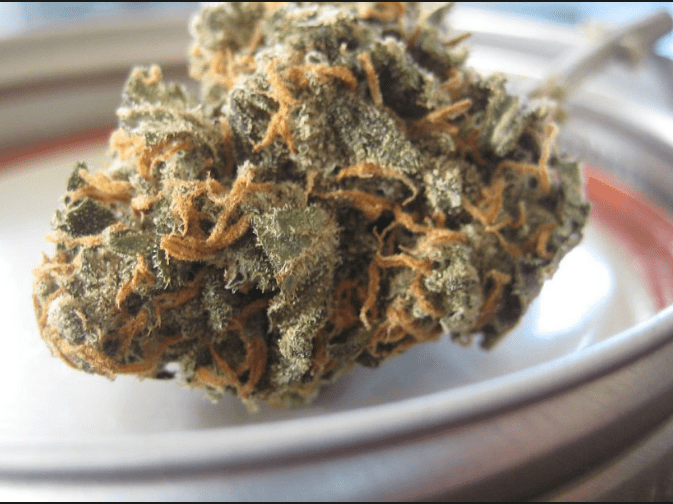 Green Society Coupon Code - Online Discount - Save On Cannabis