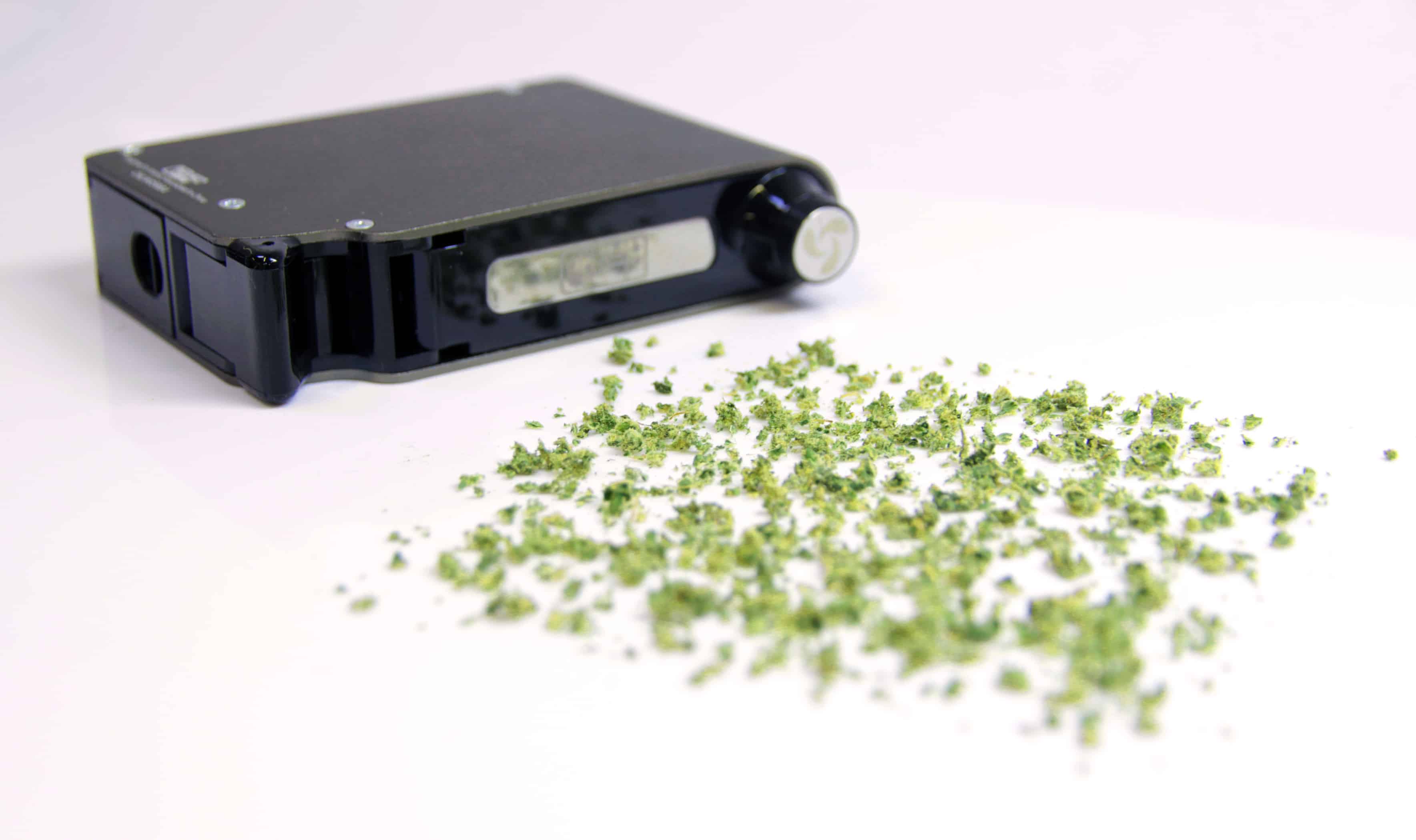 Chewy grinder Coupon Code Online Discount Save On Cannabis