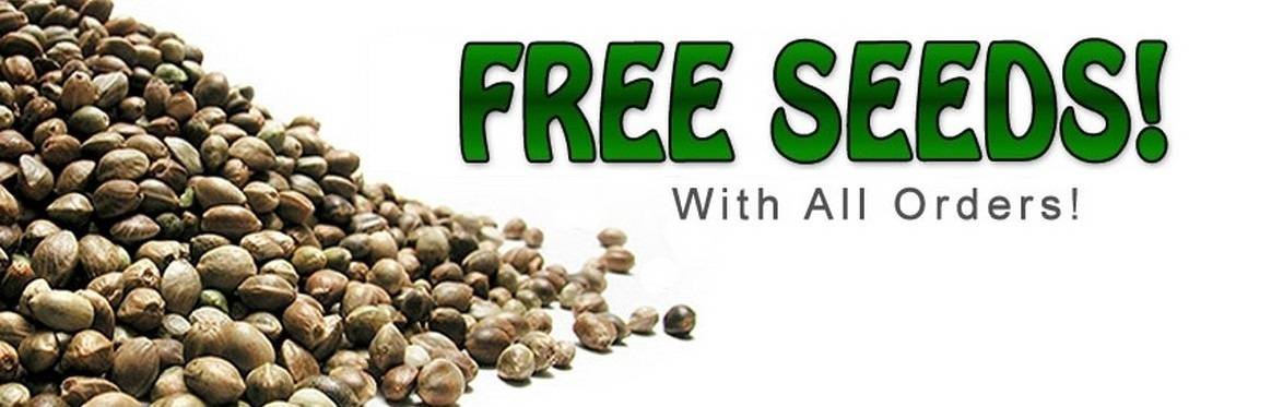 Quebec Cannabis Seeds Coupon Code Online Discount Save On Cannabis