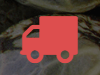 Super Auto Flowers Coupon Code Online Discount Save On Cannabis
