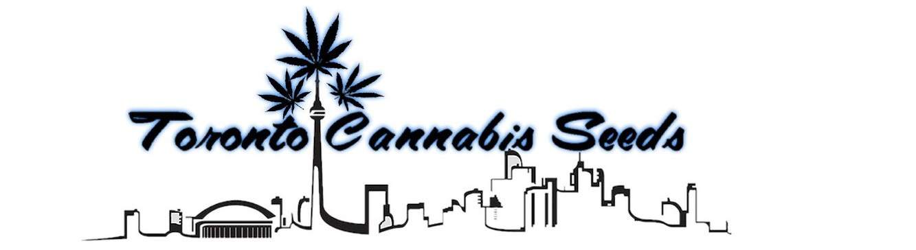 Toronto Cannabis Seeds Coupon Code Online Discount Save On Cannabis