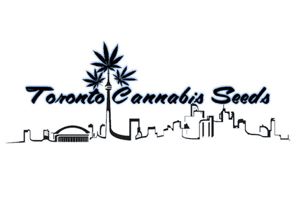 Toronto Cannabis Seeds Coupon Code Online Discount Save On Cannabis