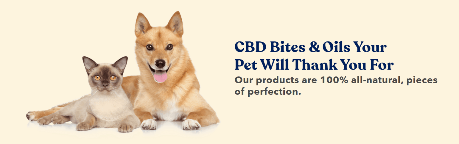 Save Money Now With Honest Paws Coupon Codes CBD Pet Products 