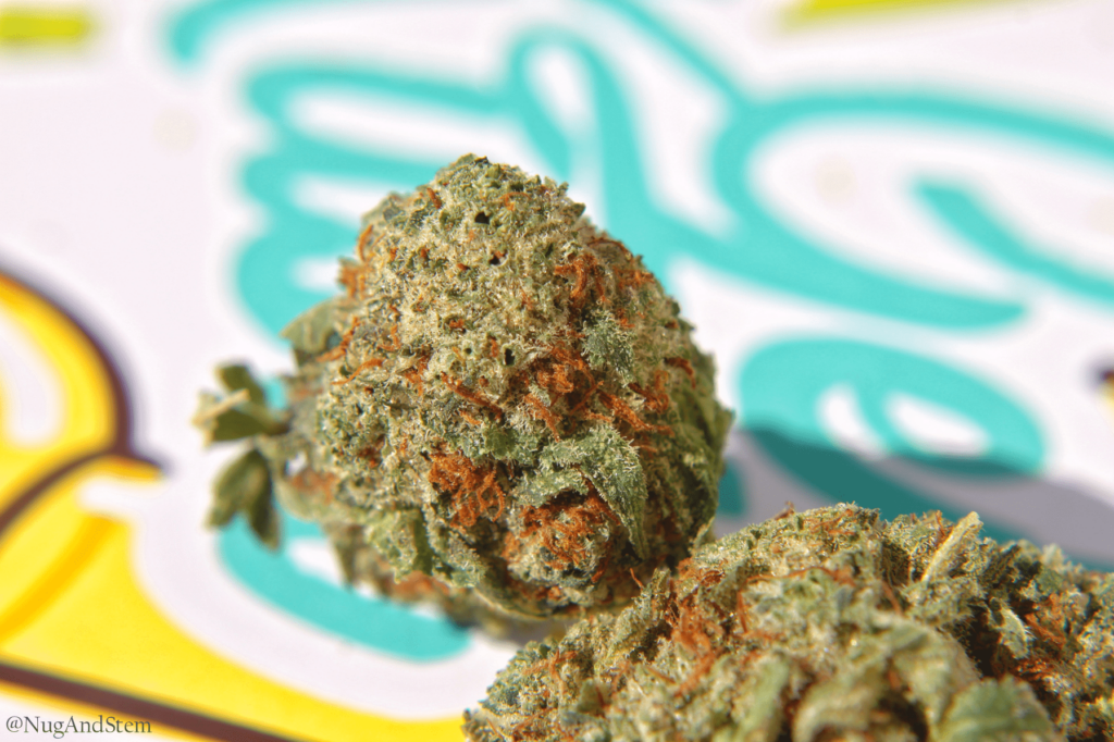 Get Kush Review - Canada Mail Order Marijuana - Alien OG - Save On Cannabis