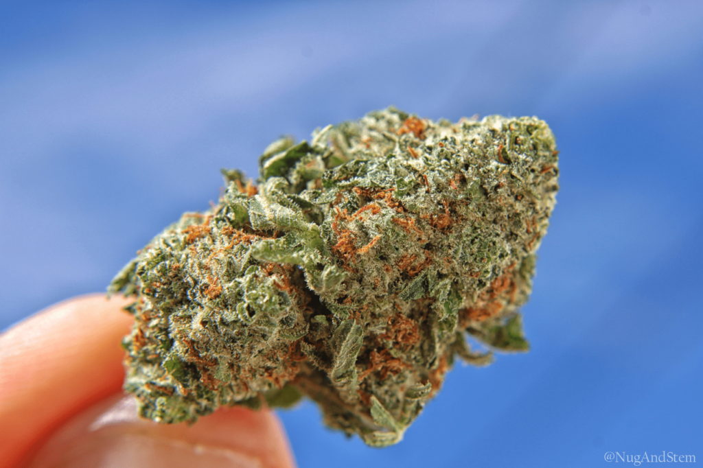Get Kush Review - Canada Mail Order Marijuana - Alien OG - Save On Cannabis