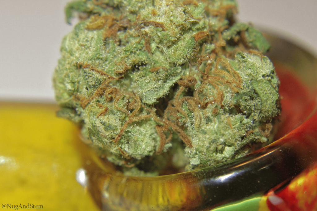 Get Kush Review- Red Congo Marijuana Strain - Save On Cannabis
