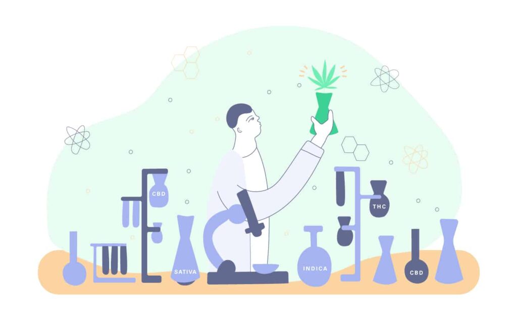 Importance Of Lab Testing Cannabis - Blog - Save On Cannabis