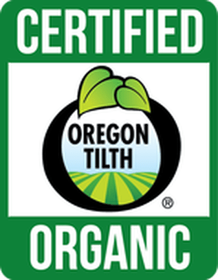 Sun God Medicinals Coupon Code Online Discount Save On Cannabis