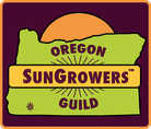 Sun God Medicinals Coupon Code Online Discount Save On Cannabis
