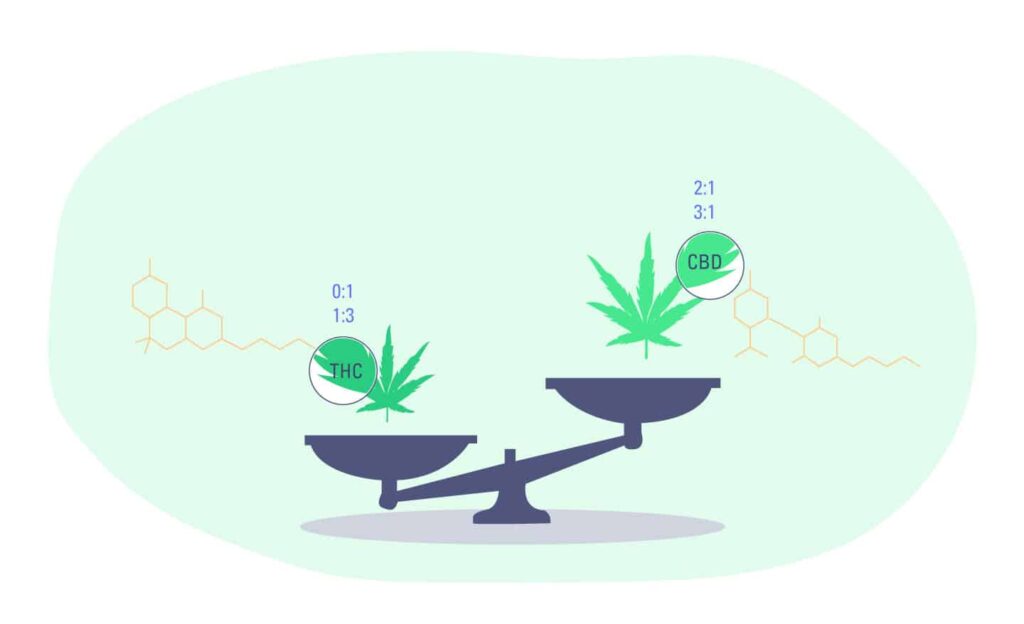 Best High Cbd Strains 1 Strains With High Cbd-To-Thc Ratio