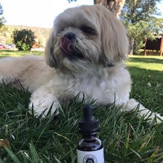 Kalm CBD Coupon Code Online Discount Save On Cannabis