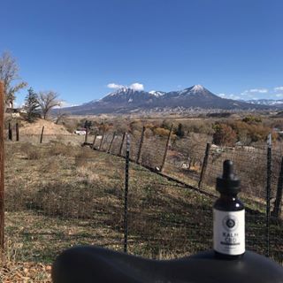 Kalm CBD Coupon Code Online Discount Save On Cannabis