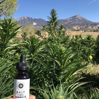 Kalm CBD Coupon Code Online Discount Save On Cannabis