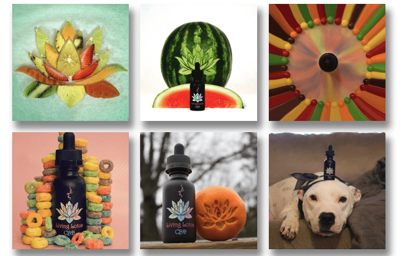 Living Lotus CBD Coupon Code Online Discount Save On Cannabis