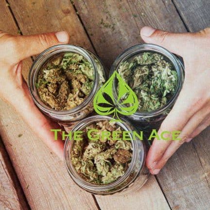 The Green Ace Coupon Code Online Discount Save On Cannabis
