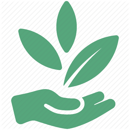 Thoughtcloud Coupon Code Online Discount Save On Cannabis