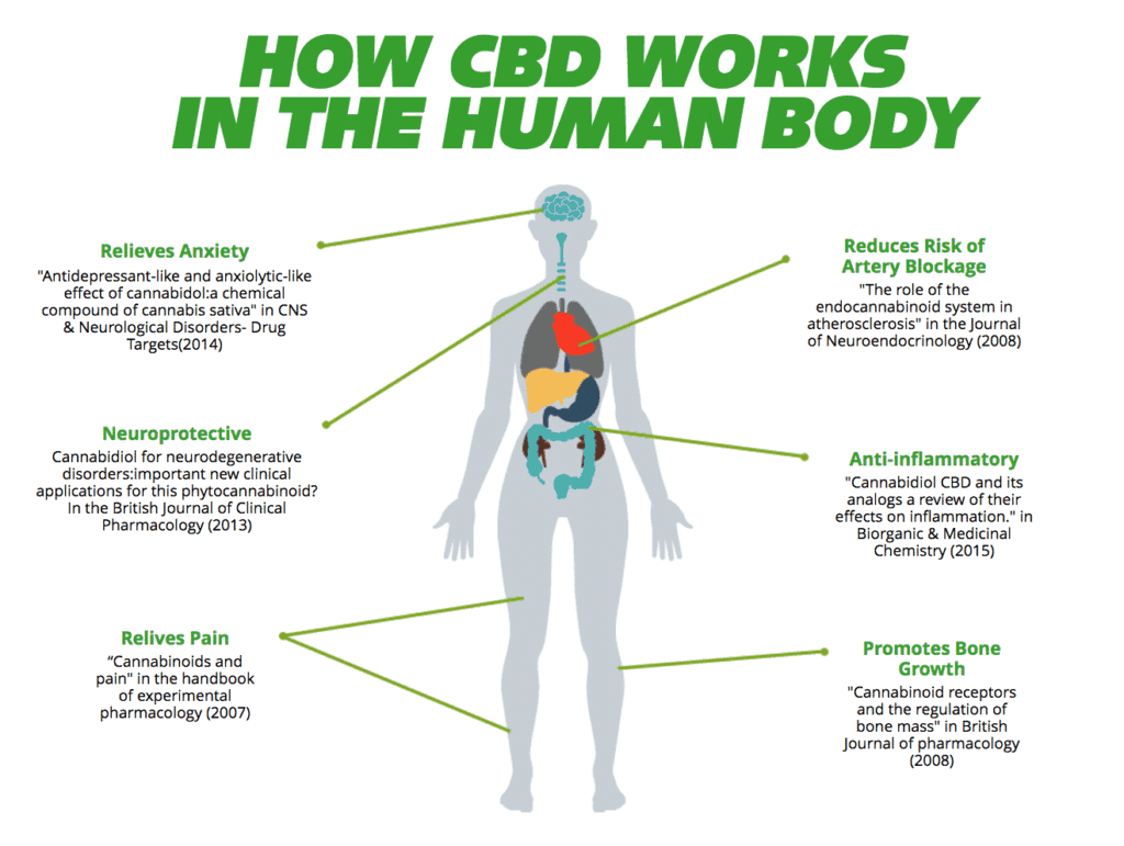 CBDonly Coupon Code Online Discount Save On Cannabis